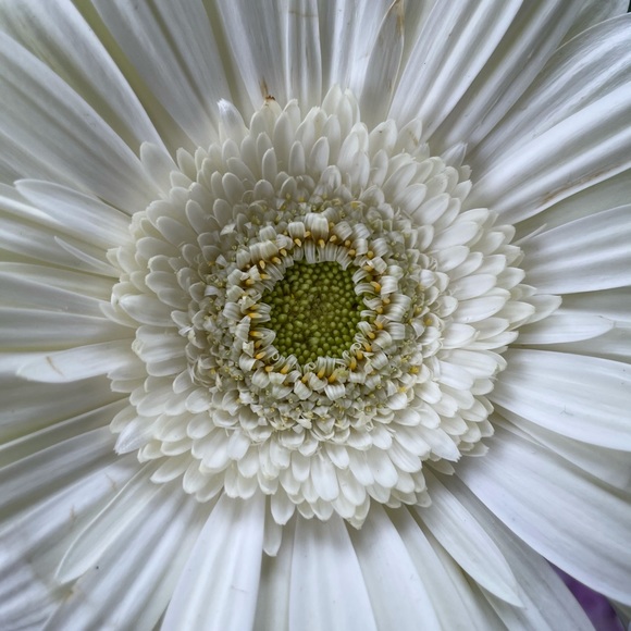 Meet your Posher, Kathy - Picture 1 of 1